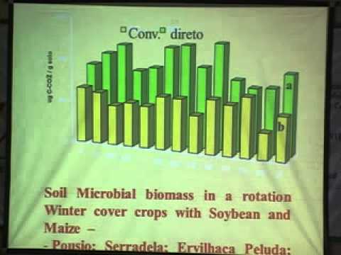 , title : 'Plantas de cobertura e bioativação do solo   Ademir Calegari'