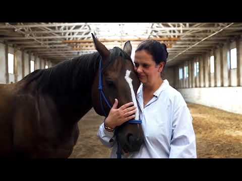 Lisas Tierwohlwerk stellt sich vor