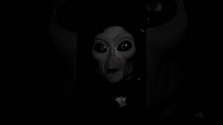 Parody of Don Henley&#39;s &quot;They&#39;re Not Here, They&#39;re Not Coming&quot;🎶