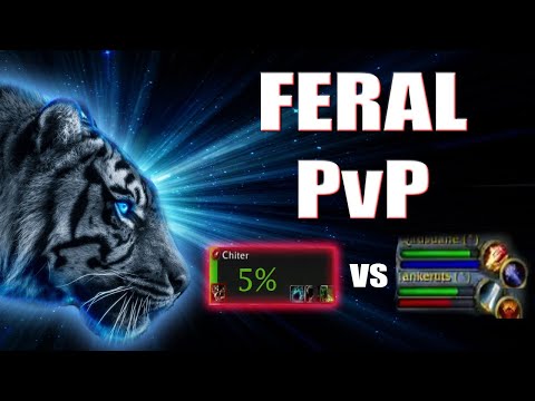 FERAL DRUID 1v2 PvP - Dragonflight - Chiter