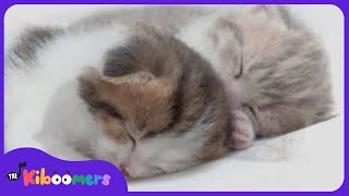 Beethoven Fur Elise | Lullabies for Babies | Classical Music for Babies