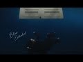 Billie Eilish BLUE Second Part Extended