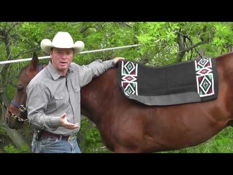 Choosing a Quality Saddle Pad