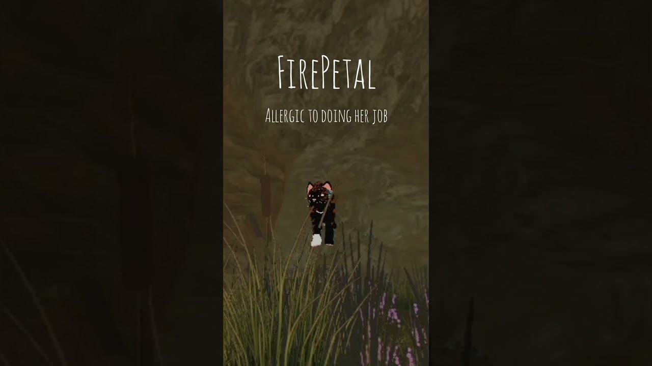 Meet my Warrior Cats OCs part 4