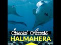 Halmahera 2022 Open Boat Trip