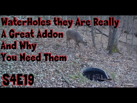 Waterholes are they really a great addon and why s4e19