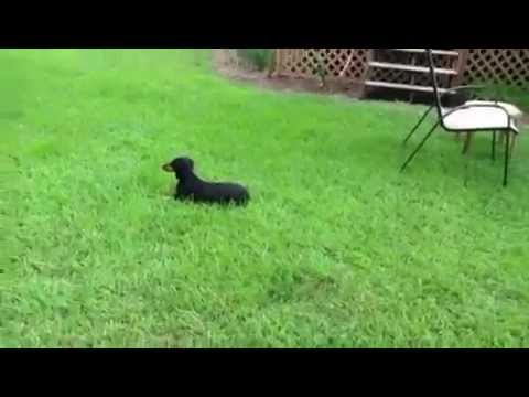 Funny and Fast Samantha Jo with little sister, Mary Grace