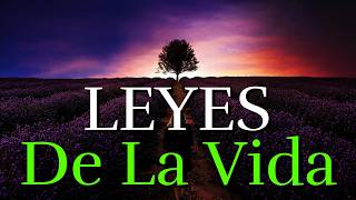 Quien Siembra Amor Cosecha Felicidad ¦ Las Leyes De La Vida ¦ Reflexión, Gratitud #karma