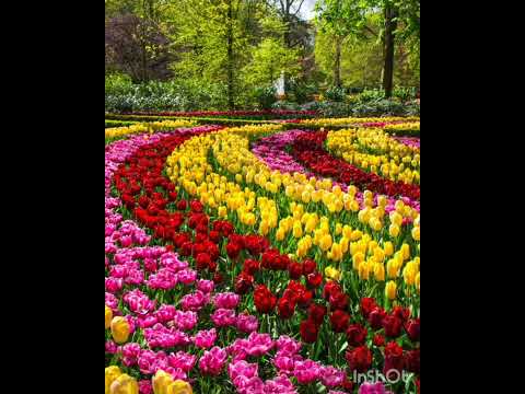 Balegalu Aaduthive || Movie:- Ondagi Balu