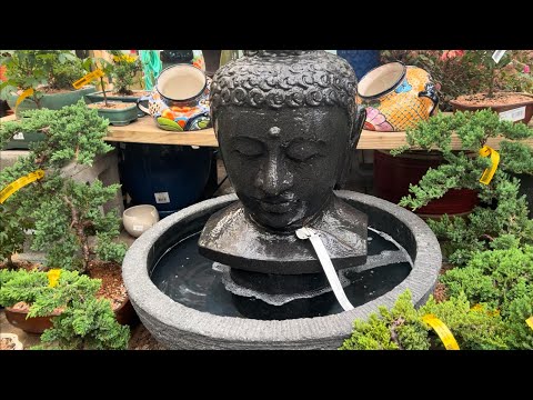 Ginkgo Gardens Statuary & Clematis