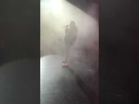 Avenue elz     gherbo.  Ludfoe