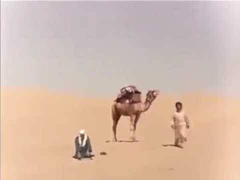 Super hit bollywood movie Laila Majnun | Emotional scene | Must watch |