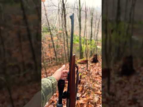 Remington 7400 Woodsmaster REALLY THAT BAD? - Review and First Shots