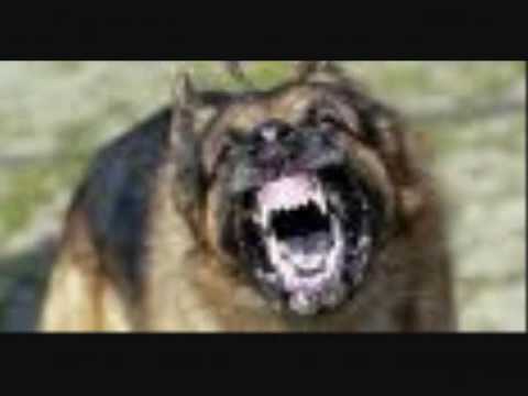 WE STAY FRESH by Hoox