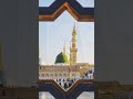 HASIB RABBI JALLALLAH MAFI QALBI KHAIRUALLAH NUR MOHAMMED SALLAH LALA IL AHE SHORTS VIDEO