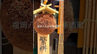 福岡八女の銘酒繁桝　会員限定の蔵元見学！繁桝最高♩