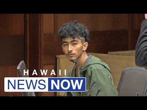 19-year-old accused in Kalihi city bus shooting appears in court