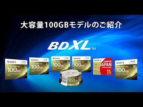 SONY BD-RE XL 5BNE3VEPS2 5枚×2セット 合計10枚