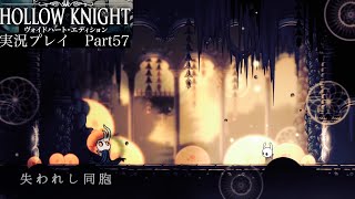 【Hollow Knight】古代の穴〜強化BOSS失われし同胞戦【独り言プレイ#57】