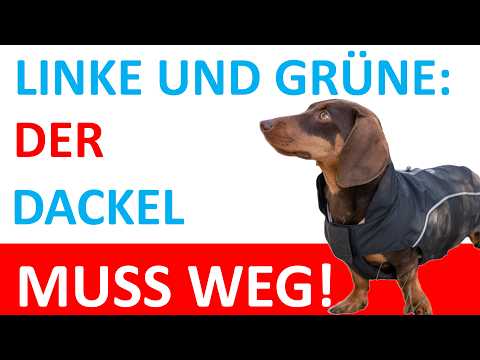 Linke, Grüne und Süddeutsche Zeitung wollen Dackel abschaffen!