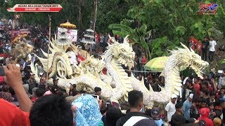 Download lagu MULUDAN GEGESIK | ARAK-ARAKAN | KARNAVAL 2/2 mp3 Download lagu MULUDAN GEGESIK | ARAK-ARAKAN | KARNAVAL 2/2 mp3