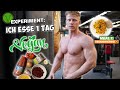 Ich esse EINEN TAG VEGAN! Full Day of Eating Experiment