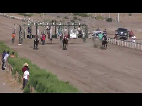 TITAN Club Hipico Añelo, Domingo 12 de enero 2025