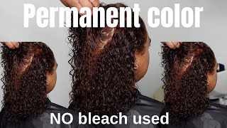 Permanent Hair Color on Natural Curls | NO Damage 