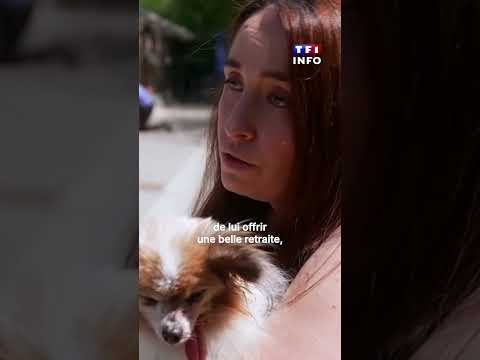 🐶 Et si le plus vieux chien du monde était français ?!｜TF1 INFO