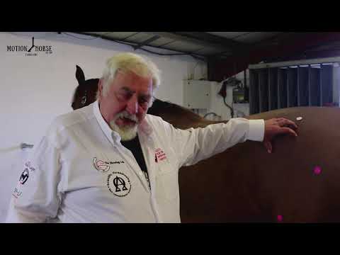 Building the Shoeing plan