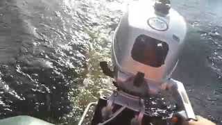 Sea pro 5 4 такта