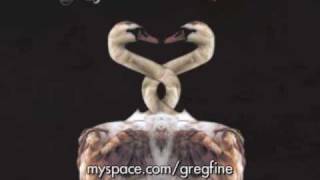 Greg Fine - The Libra (Live)