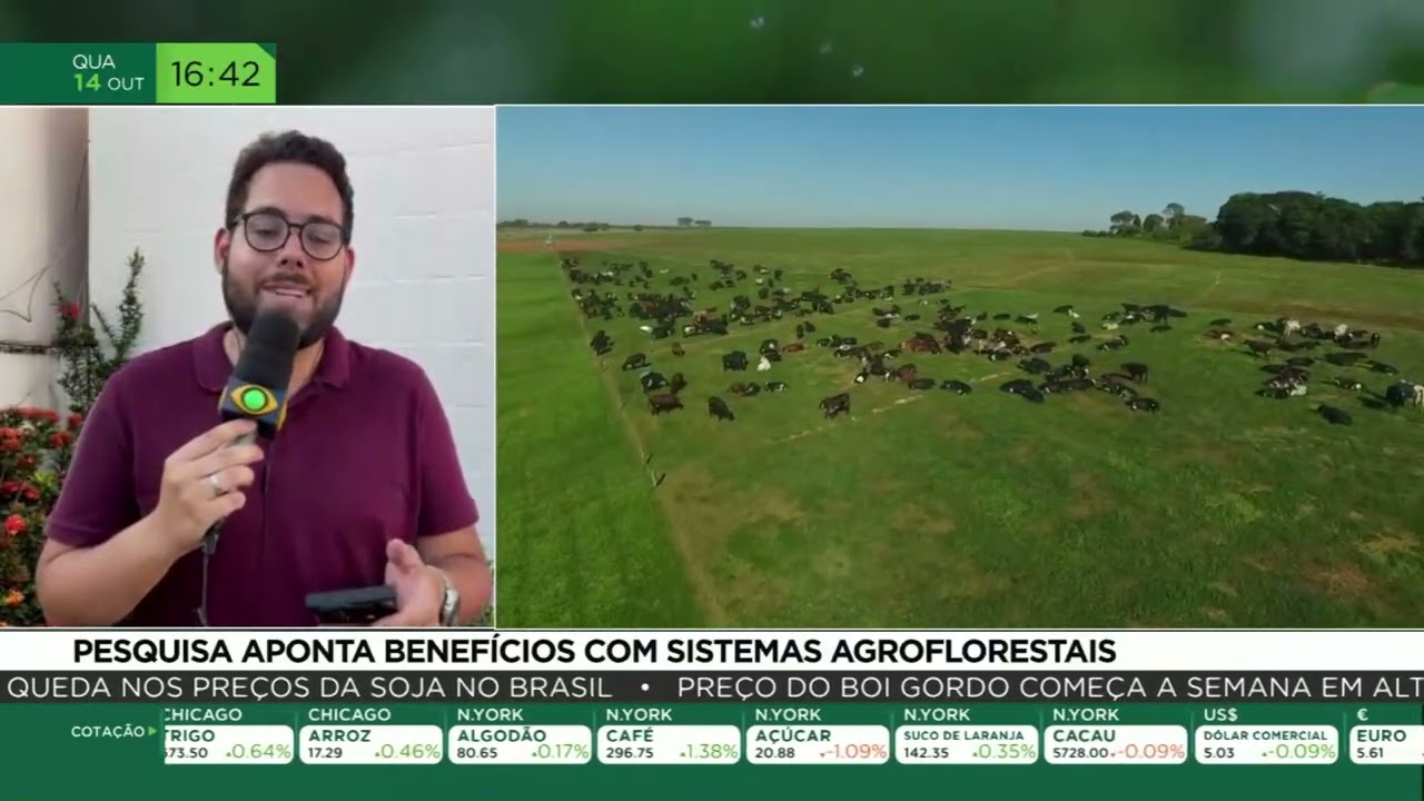 Pesquisa aponta benefícios com sistemas agroflorestais