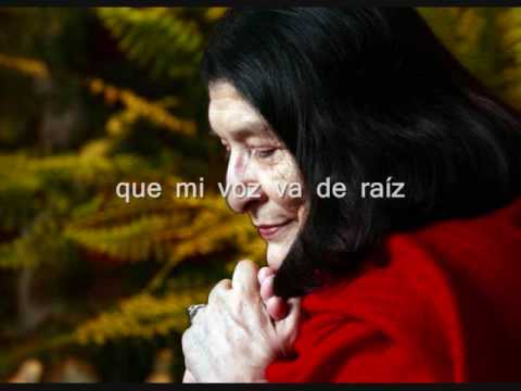 Canciones Y Momentos video