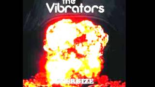 The Vibrators - &quot;I Knew it must be Love&quot;
