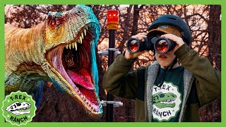 Where Will the Dinos Go? | T-Rex Ranch Dinosaur Videos for Kids