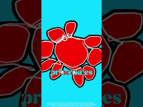 Eric Marcos Ortega Berumen-11