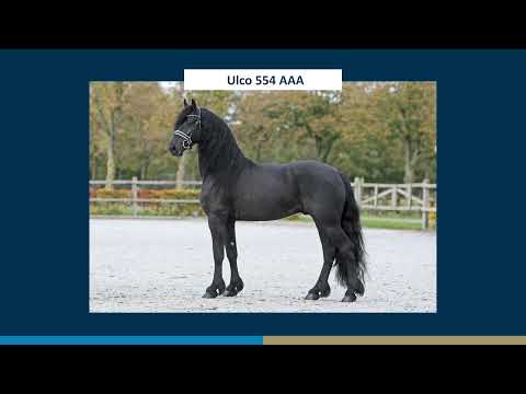 Ulco 554 AAA