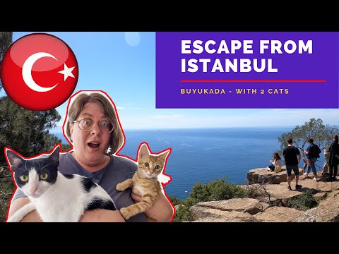 Escape from Istanbul - Buyukada (The Princes Islands) with 2 cats