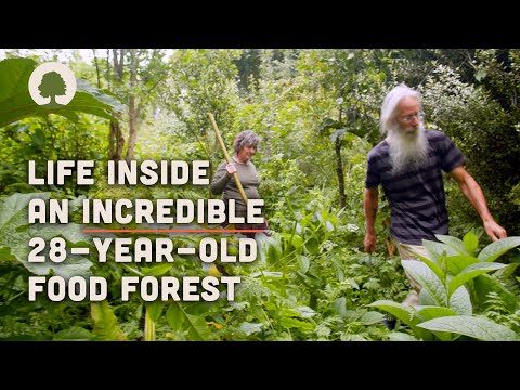 This Couple Live in an Abundant 28-Year-Old Food Forest