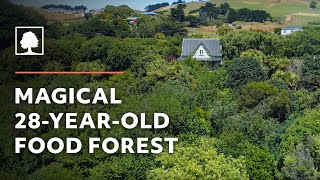 Magical 28-Year-Old Permaculture Food Forest – Growing Wild Together