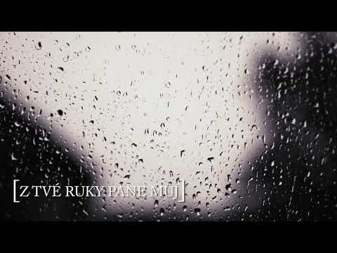 Z Tvé ruky Pane můj | Křesťanské písně