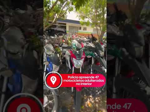 Suspeito permanece à disposição da Justiça #Amazonas #PolíciaCivil #Parintins #Barreirinha #Nhamundá