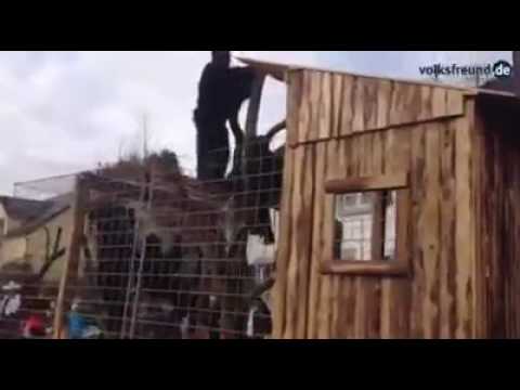 Impressionen: Umzug in Bettenfeld, Bruch und Plein