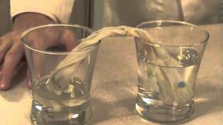 preview picture of video 'Capillary Action Experiment'