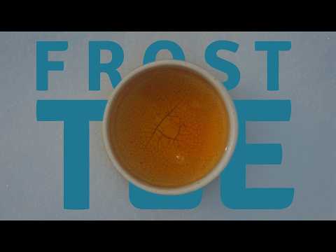 Frost tea from Nilgiri – first harvest tasted in the snow ❄️🍵