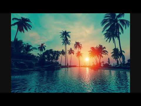 download lagu mp3 mp4 Electro Shock Vol 11, download mp3 Electro Shock Vol 11 free downloadn, video klip Electro Shock Vol 11