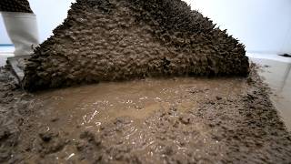 This Rug Was Hiding a Shocking Amount of Mud – Wait Until You See the Deep Clean! | Carpet Cleaning