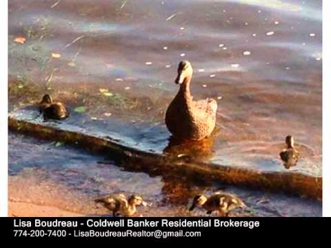 21 Barry Drive Holland, MA 01521 - Single-Family Home - Real Estate - For Sale -