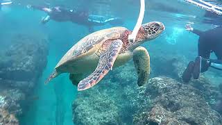 Download lagu 20201121 mp3